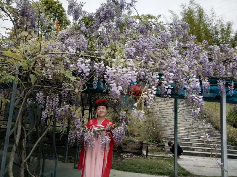 莉莉的第一张照片--龙海征婚网