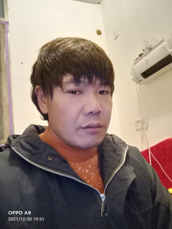 小鸟找窝的第一张照片--龙海征婚网