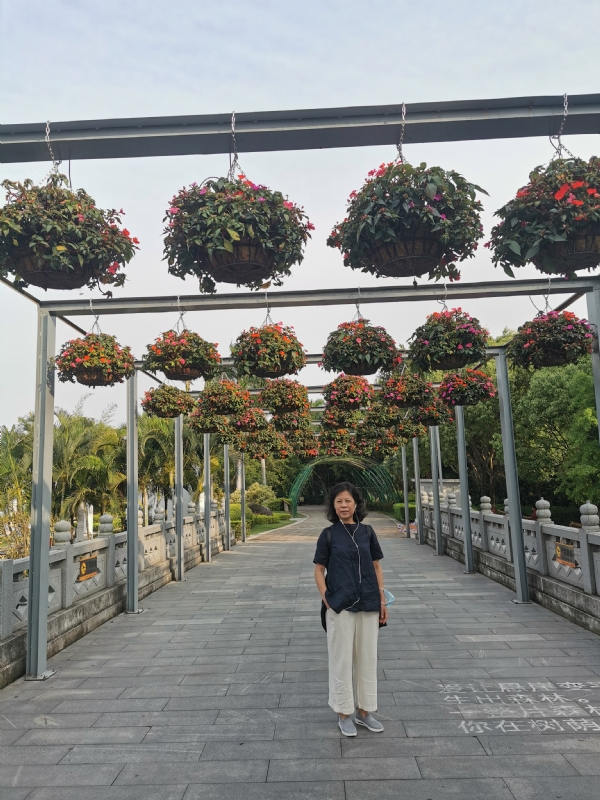 一叶知秋的第二张照片--龙海征婚网